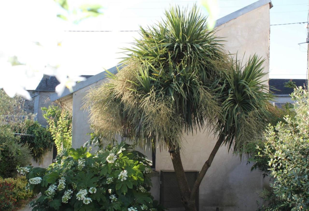 Duplex Confort Et Jardin Charmant Nantes Bagian luar foto